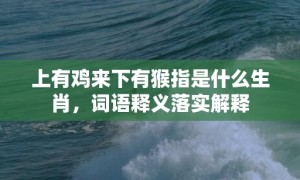 上有鸡来下有猴指是什么生肖，词语释义落实解释