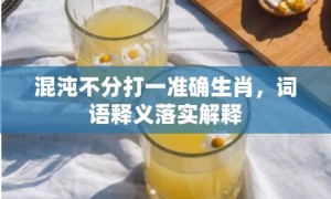 混沌不分打一准确生肖，词语释义落实解释