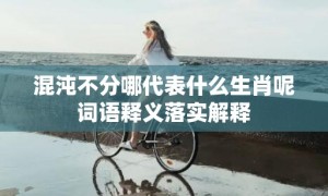 混沌不分哪代表什么生肖呢词语释义落实解释