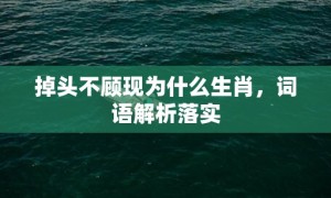 掉头不顾现为什么生肖，词语解析落实