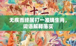 无疾而终属打一准确生肖，词语解释落实