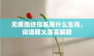 无疾而终指系属什么生肖，词语释义落实解释