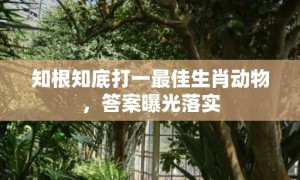 知根知底打一最佳生肖动物，答案曝光落实