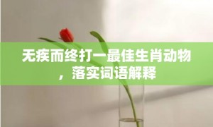 无疾而终打一最佳生肖动物，落实词语解释