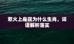 惹火上身现为什么生肖，词语解析落实