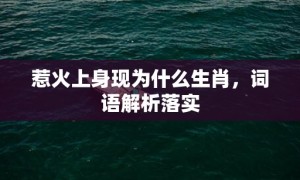 惹火上身现为什么生肖，词语解析落实