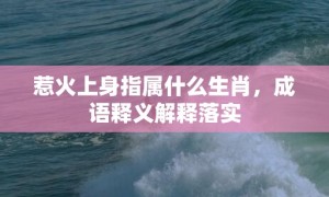 惹火上身指属什么生肖，成语释义解释落实