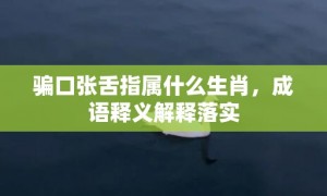 骗口张舌指属什么生肖，成语释义解释落实