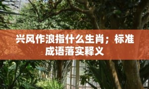 兴风作浪指什么生肖；标准成语落实释义