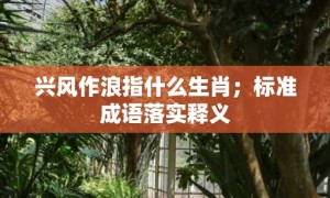 兴风作浪指什么生肖；标准成语落实释义