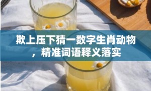 欺上压下猜一数字生肖动物，精准词语释义落实