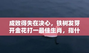 成败得失在决心，铁树发芽开金花打一最佳生肖，指什么生肖精准词语释义落实