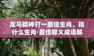 龙马精神打一最佳生肖，指什么生肖·最佳释义成语解释最佳精准词语释义落实