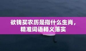 欲钱买农历是指什么生肖，精准词语释义落实