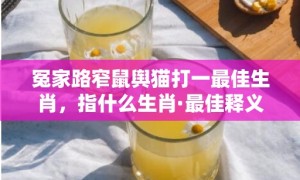 冤家路窄鼠舆猫打一最佳生肖，指什么生肖·最佳释义成语解释最佳答