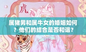 属猪男和属牛女的婚姻如何？他们的结合是否和谐？