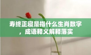 寿终正寝是指什么生肖数字，成语释义解释落实