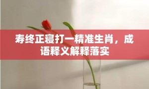 寿终正寝打一精准生肖，成语释义解释落实