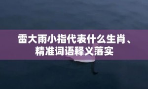 雷大雨小指代表什么生肖、精准词语释义落实