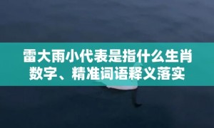 雷大雨小代表是指什么生肖数字、精准词语释义落实