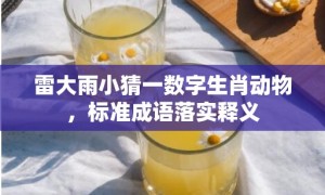 雷大雨小猜一数字生肖动物，标准成语落实释义