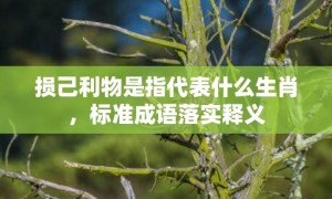 损己利物是指代表什么生肖，标准成语落实释义