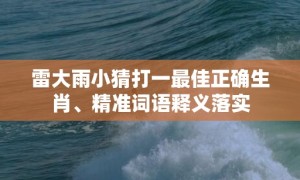 雷大雨小猜打一最佳正确生肖、精准词语释义落实