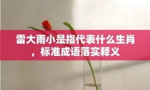 雷大雨小是指代表什么生肖，标准成语落实释义