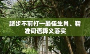 踏步不前打一最佳生肖、精准词语释义落实