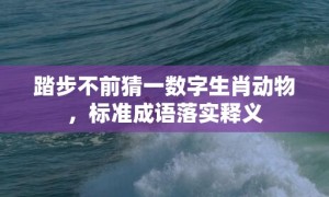 踏步不前猜一数字生肖动物，标准成语落实释义