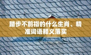 踏步不前指的什么生肖、精准词语释义落实