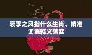 衰季之风指什么生肖、精准词语释义落实