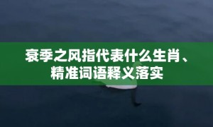 衰季之风指代表什么生肖、精准词语释义落实