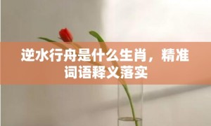 逆水行舟是什么生肖，精准词语释义落实