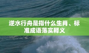 逆水行舟是指什么生肖、标准成语落实释义