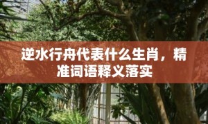 逆水行舟代表什么生肖，精准词语释义落实