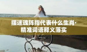 摆迷魂阵指代表什么生肖·精准词语释义落实