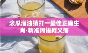 滚瓜溜油猜打一最佳正确生肖·精准词语释义落