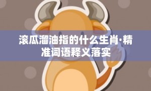 滚瓜溜油指的什么生肖·精准词语释义落实