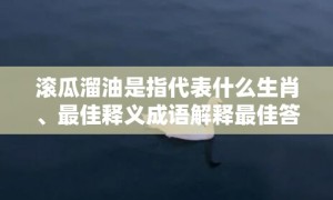 滚瓜溜油是指代表什么生肖、最佳释义成语解释最佳答