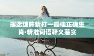 摆迷魂阵猜打一最佳正确生肖·精准词语释义落实