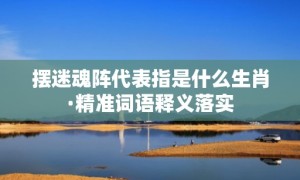 摆迷魂阵代表指是什么生肖·精准词语释义落实