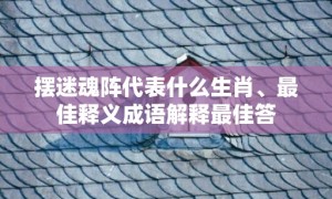 摆迷魂阵代表什么生肖、最佳释义成语解释最佳答