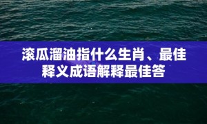 滚瓜溜油指什么生肖、最佳释义成语解释最佳答