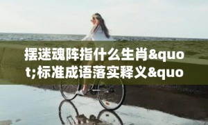 摆迷魂阵指什么生肖"标准成语落实释义"