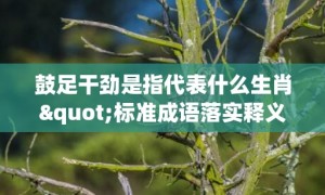 鼓足干劲是指代表什么生肖"标准成语落实释义"