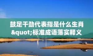 鼓足干劲代表指是什么生肖"标准成语落实释义"