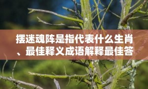 摆迷魂阵是指代表什么生肖、最佳释义成语解释最佳答