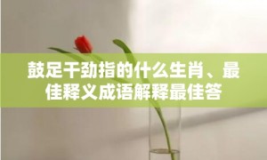 鼓足干劲指的什么生肖、最佳释义成语解释最佳答