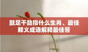 鼓足干劲指什么生肖、最佳释义成语解释最佳答